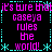 Pixelated text repeats across a black background with cyan border elements, displaying 'it's bure that caseya rules the world!' in pink and cyan.