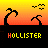 Animated sequence of pixelated palm trees and birds against a gradient sunset background with 'HOLLISTER' text below each frame.