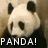 A four- shows a panda's head with changing expressions and text, the top-left displaying "PANDA!" in white block letters on black
