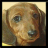 iconhell_gorgeousdivachic_PetMyWeiner