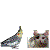 AIM Buddy Icon Makers