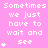 Pixelated text repeats 'Sometimes we just have to wait and see' with small white asterisks on a pink background, partially obscured by gray area.