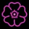 Two pink neon-style flower icons with five petals each, one static and one blurred in motion against black background.