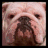 iconhell_gorgeousdivachic_Bullshit