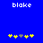Blue background with white text 'blake' at top, yellow and gray star-like shapes arranged in two below