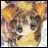 A 48x48 pixel buddy icon featuring a cartoon character with brown hair and orange ears on the left, paired with "Anime IM" text in white pixelated font on black background on the right.