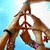 Three hands in a triangular formation hold up a white peace sign against a light blue background.