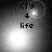 Black-and-white animated icon with four text lines and a moving light effect