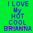 Green background with blue pixelated text reading 'I LOVE MY HOT COOL BRIANNA' and pink accents on the 'BRIANNA' letters.