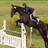 A pixelated image shows a rider on a horse jumping over a white fence with a purple background containing text and a heart symbol.