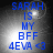 Blue text on a gray gradient background reads 'SARAH IS MY BFF 4EVA <3' with a bright light spot shifting position across four views.