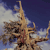 A pixelated image of a tall, slender structure with multiple branches against a blue sky with white clouds.