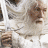A 48x48 pixel buddy icon featuring a split composition with Frodo Baggins on the left and Lord of the Rings text on the right, rendered in low-resolution pixel art style.