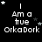 Black background with white pixelated text reading "I Am a true OrkaDork" and scattered stars in light gray, dark gray, and white.