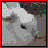 A pixelated bunny face with red text overlays in a of nine , showing sequential animation frames