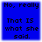 Blue square with black pixelated text reading "No, really That IS what she said." in four identical