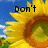 A sunflower with yellow petals and brown center against blue sky, with text "Don't Pick Us For him!" in black font.