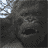 Animated sequence of a large ape's face with changing mouth expressions, including open mouths showing teeth and closed mouths, set against a blurred background with visible tree branches.