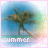 A static image of a palm tree against a blue sky with pastel gradient background and the word 'summer' at the bottom.