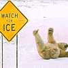 Yellow diamond-shaped road sign warning of ice next to a polar bear lying on its back in snow with legs up, all within a static 100x100 pixel icon frame.