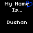 Pixelated text displays 'My Name Is... Dushan' with a blue heart replacing the letter O in 'Name', split into two identical on black background
