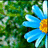 Pixelated blue flower with yellow center against green foliage background, rendered in low-resolution digital style.