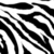 Black and white striped pattern with diagonal lines forming a repeating zebra-like design across the image.