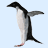 Pixelated penguin with black head, white chest, and gray wings stands against light blue background; one wing extended horizontally.