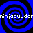 Four blue and black spiral patterns arranged in a with white text repeating 'ninjaguydomin' across the top and bottom