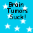 Blue background with white stars and repeated text "Brain Tumors Suck!" in black pixelated font across four quadrants.