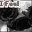 Black-and-white roses in a with text overlays reading "I Feel," "So," and "Empty" across four