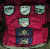 Animated sequence showing state seal variations with text labels on shields against red and blue backgrounds.