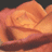 A static pixelated image of a single orange flower with layered petals against a dark background.