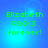 Green pixelated text 'Elizabeth ROCKS forever!' on a blue gradient background with subtle light effects.