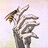 A pixelated hand with fingers extended against a light background, next to a black with white text reading 'AnimeIM' and 'com' in stylized fonts