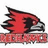 Pixelated red bird head with black crest and white beak on left, orange text "Big Hitter Redhawks Baseball" on right against black background.