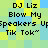 Pixelated text reads "DJ Liz Blow My Speakers Uppeakers Up Tik Tok" on a checkered background of light green, yellow, and blue squares.