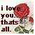 Pixelated static image of a red rose with green leaves and text reading "i love you. thats all." on a light background.