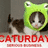 A pixelated cat wearing a green frog hat with white eyes, standing against a gray background with red text reading "SATURDAY" below.