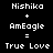 Static pixel art displays three of text equations with 'Nishika' and 'AmEagle' combining to form 'True Love', where one instance of each name is highlighted in green