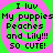 Four identical display text over a green and pink spiral background with pixelated font