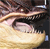 A pixelated close-up of a creature's mouth showing sharp teeth and a pink tongue against a dark background with light brown and beige tones.