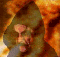 A small animated icon shows a figure with a pink head and brown body against a fiery orange and brown background, with subtle movement in the figure's limbs.