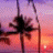 Animated sequence of a palm tree silhouette against a sunset gradient background with text reading 'I will take your breath away' in white lowercase letters.