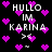 Pixelated text 'HULLO IM KARINA' with heart symbols on black background, animated hearts and text elements shift position across frames.