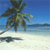 Pixelated beach scene with palm tree, blue sky, and calm water on sandy shore.