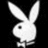 White rabbit head with bow tie on black background, showing three distinct poses in a