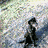 Animated sequence showing a dark figure on a blue platform with white splashes, transitioning to the figure leaping into water against a light background.