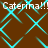 Brown background with cyan diamond lattice pattern and repeated white text 'Caterina!!! Caterina!!!' across two horizontal bands.
