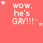 nine identical red each displaying white text 'WOW, he's GAY!!!' with scattered star symbols in various positions